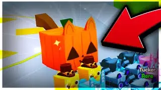 OMG! 🎃🙀 *PUMPKIN HUGE CAT* IS HERE In Pet Simulator X!