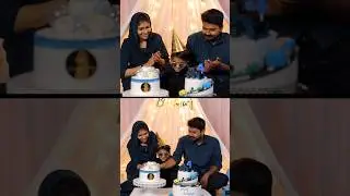 Birthday Celebration