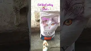 Cat food eating part 1 #new #cat #kittens #newbornpets #cuteanimals #cutecat