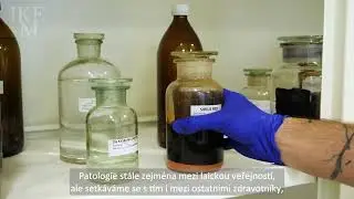 Profese IKEM - histologický laborant