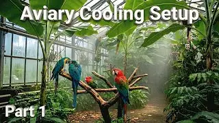 1000 രൂപക്ക് അവിയറി തണുപ്പിച്ചു. #birds #yputubeshorts #viralshort #viral 