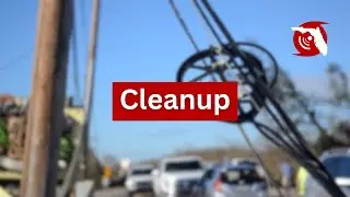 Storm Cleanup | WEDU & FPREN