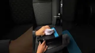 New Fabric Seat Cleaner 🤩 #soft99 #autopflegeprodukte