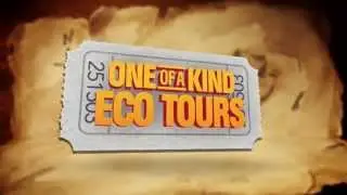 Desert Adventures - Palm Springs Eco-Tours and Events