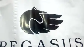 courier flyer