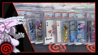 WORKING ON OUR CARD COLLECTIONS - LIVE CARD SHOP