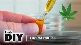 How To Make THC Capsules | DIY