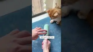 Используйте этот ролик вместо липкого ролика!
