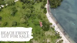Beach Front LOT FOR SALE in Laiya San Juan Batangas