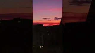 Stockholm's sky painted in pink 💗🌸 #europe #travel #sweden #stockholm #sky #youtubeshorts
