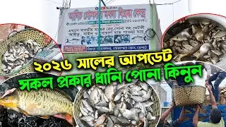 ২০২৬ সালের আপডেট সকল প্রকার ধানি পোনা কিনুন সরাসরি হ্যাচারি থেকে | আনিচ গোলদার মৎস্য বিক্রয় কেন্দ্র