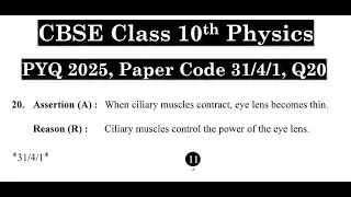 Assertion (A): When ciliary muscles contract, eye lens becomes thin. Reason (R): Ciliary muscles con