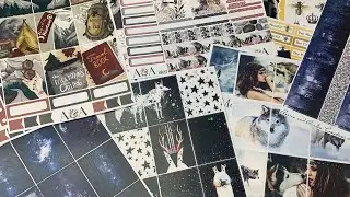 Aurora & Avalon Haul | June TPC Sale