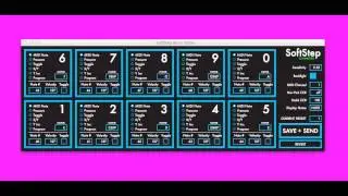 SoftStep Basic Editor: Overview
