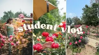 TU ko student ko life #university #TUstudent