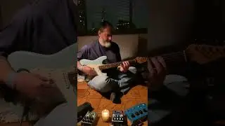 Ambient heavenly guitar chords over soundscape #guitar #shorts #stratocaster