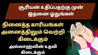 சூரியன் உதிப்பதற்கு முன் இதனை ஓதுங்கள் நினைத்த காரியங்கள் நிறைவேறும்┇Dua in Tamil┇Dua┇tamil dua