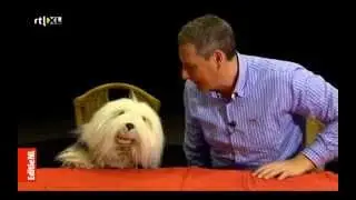Samson en Gert @ RTL Nieuws