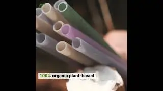 The Happy Turtle Straw 100% turtle safe