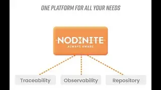 Introduction to Nodinite in 101 seconds