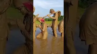 Live Mud Art| Amazing Farmer| paddy farm| rice plantation|Short| trending live mud art|happy farmer|