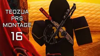 Teozua PRS Montage 16
