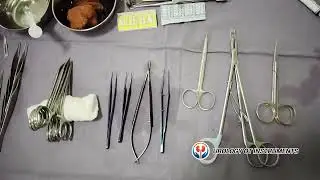Making AV Fistula surgery Trolley// All instruments #avf #fistulasurgery #uro #urologyinstruments