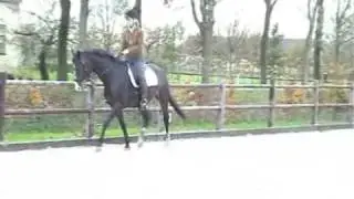 les Antoine de bodt met Yade