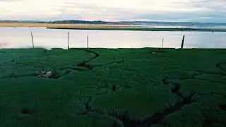 Marysville Ebey Slough