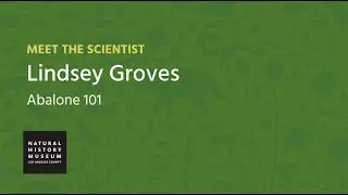 Meet the Scientist: Lindsey T. Groves, Malacology