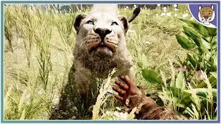 This 10 year old game still feels timeless and this makes it the best in this series