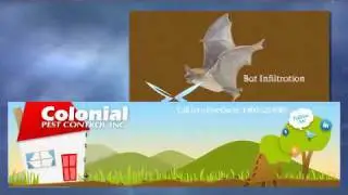 Colonial Pest Control