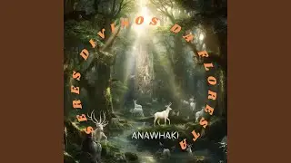 Seres Divinos da Floresta
