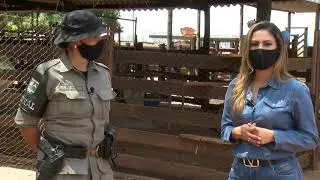 Saiba tudo sobre segurança rural