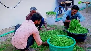भगवान शिव के मंत्र में ॐ की आवश्यकता नहीं पड़ती | Pravachan | Pujya Krishna Priya Ji | Mathura (UP)