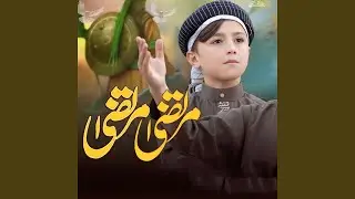Murtaza Murtaza
