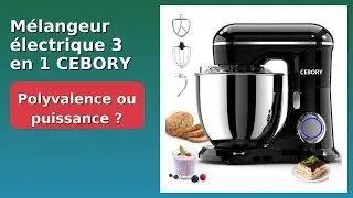 AVIS (2025) : M&eacute;langeur &eacute;lectrique 3 en 1 CEBORY 660W. D&Eacute;TAILS ESSENTIELS