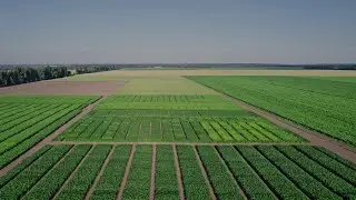 Bachelor of Science - Plant and Horticultural Sciences major
