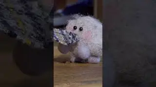 Pet Fluff won't let go! Adorable! @TweedyandFluff #pets #cuteanimals #preschool #tweedy #fluff
