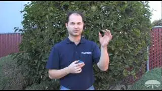 How to Use Moon Filters - Orion Telescopes and Binoculars