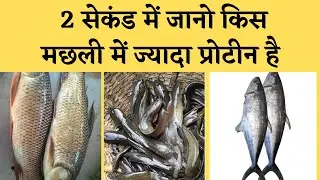 Which fish has the most protein? | protein rich fish | health fitness tips in Hindi | the jalebi