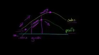 The Product Life Cycle