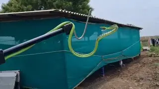 दुर्मीळ हरणटोळ साप रेस्कू 😯