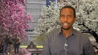 Hadday ICE Minneapolis Kuqabato Adigoo usa  Citizen Ah Sidee ulahadleysaa