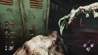Why Midwich Is Hag's Best Map! (Dead By Daylight)