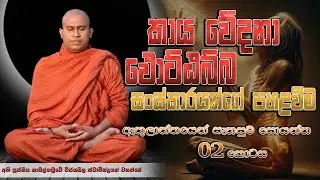 කාය,වේදනා, පොට්ඨබ්බ සංස්කාරයන්ගේ පහළවීම│ Ven. Namalgamuwe Wijayaseela Thero │ Dharma deshana