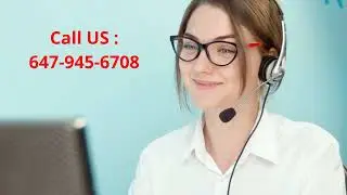 Ecoway Movers  | Moving Company in Hamilton, ON
