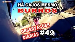 Observa&ccedil;&otilde;es Di&aacute;rias #49 H&aacute; gajos mesmo BURROS! Daily Observations 49 - KTM Laranjinha #ktmlaranjinha