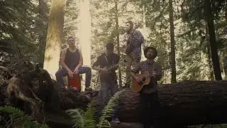Days We Forgot - Ferdinand the Bull