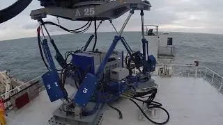 Ampelmann and Barge Master on Kroonborg